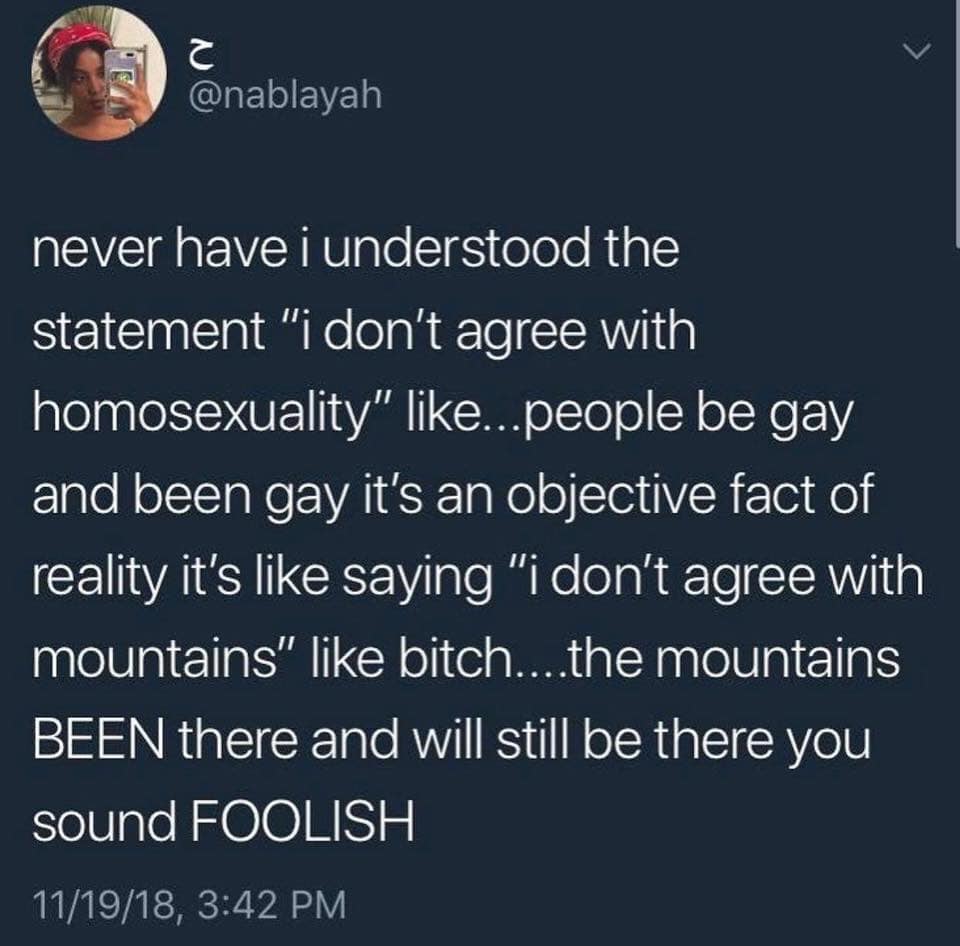 The meme is a screenshot of a Twitter post that expresses frustration and confusion about the idea that some people don't understand the concept of gay people being attracted to the same sex. The text reads: "never have I understood the statement 'I don't agree with homosexuality' like...people be gay and being gay is not something to agree or disagree with, it's just a fact of being human. It's like saying 'I don't agree with the color blue' or 'I don't agree with the sky being blue'."